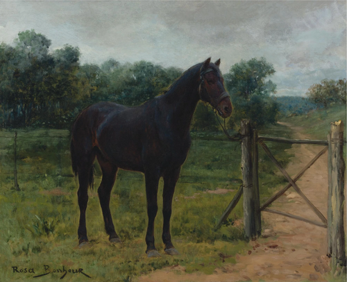 Horse Tied to a Gate, 1900, Rosa Bonheur