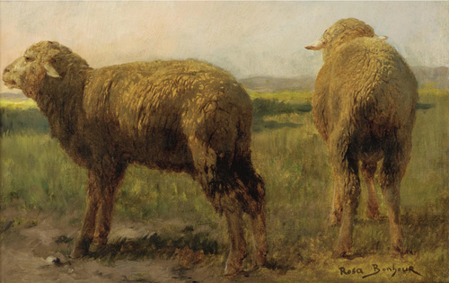 Sheep in a meadow, 1900, Rosa Bonheur