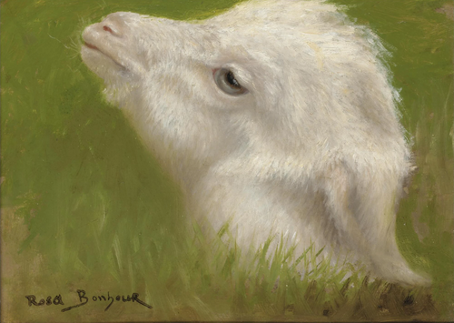 Head of a lamb, 1900, Rosa Bonheur