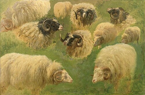 Dix études de bélier, , Rosa Bonheur