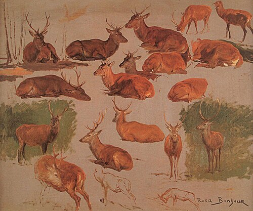 Dix-neuf études de cerfs, , Rosa Bonheur