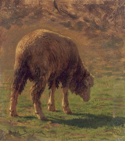 Étude de bélier, , Rosa Bonheur