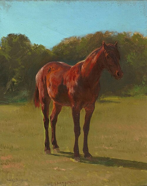 Étude de cheval bai, , Rosa Bonheur