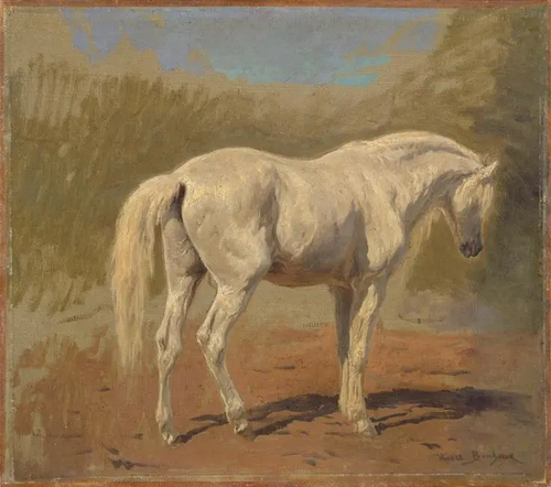 Étude de cheval blanc, , Rosa Bonheur