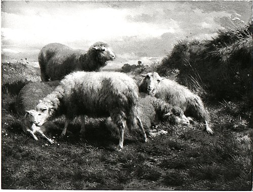 Landscape with sheep, 1848, Rosa Bonheur