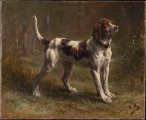 A Limier Briquet Hound, 1856, Rosa Bonheur