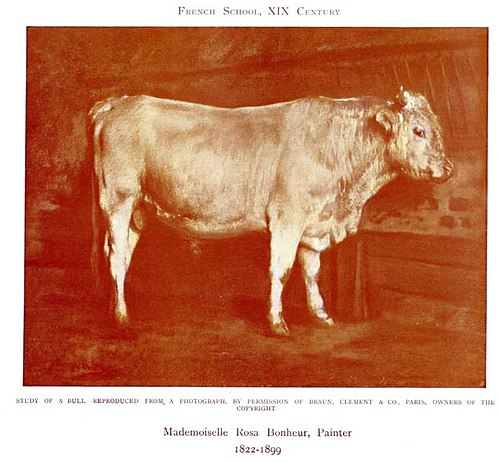 Study of a Bull, 1890, Rosa Bonheur