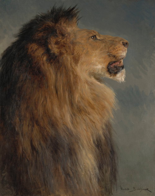 A Lion's Head, 1880, Rosa Bonheur