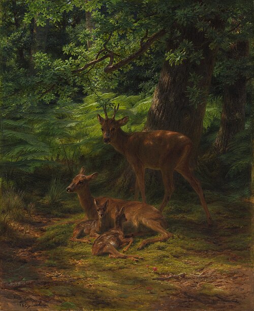 Deer in Repose, 1867, Rosa Bonheur