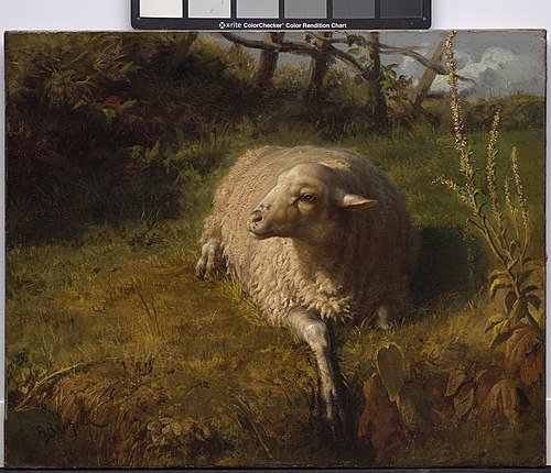 A Sheep at Rest, , Rosa Bonheur