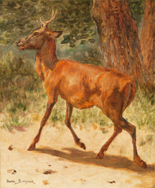 Elk, , Rosa Bonheur