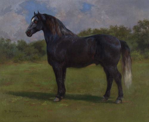 Madere, , Rosa Bonheur