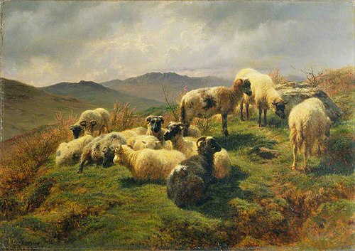 Sheep in the Highlands, 1857, Rosa Bonheur