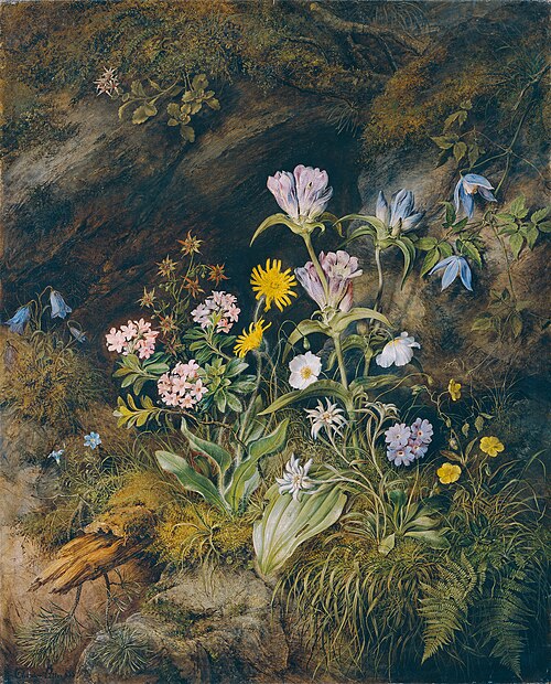 Alpine Flora, 1853, Theodor Petter