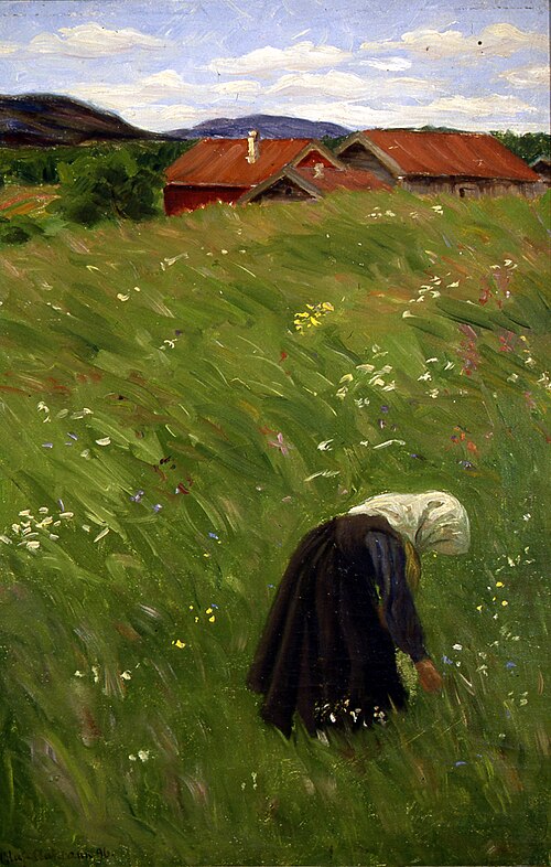 Fra Telemark, 1896, Olaf Aakrann