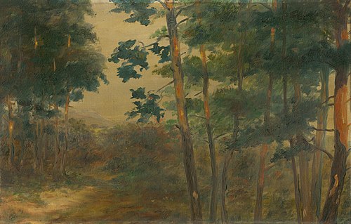 Lesný priehľad, 1905, Elemír Halász-Hradil
