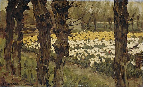 Tulip Fields, 1908, Antonie Louis Koster
