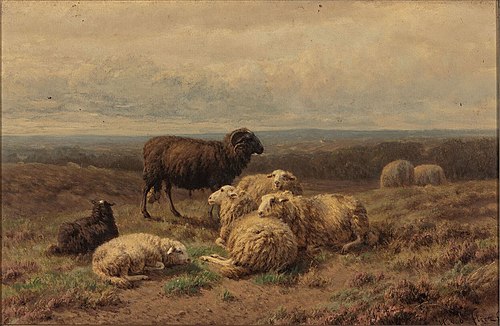 Schapen, 1880, Helmert van der Flier