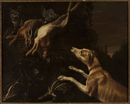 Dog attacking a cat, , Jan Vonck