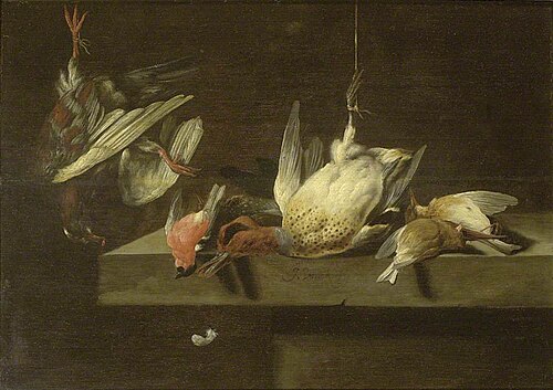 Still Life of dead Birds, , Jan Vonck
