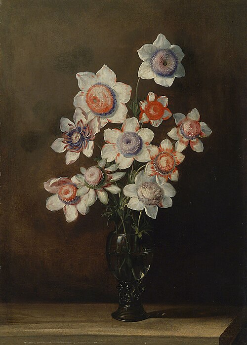 Glass with Anemones, 1653, Jan van den Hecke