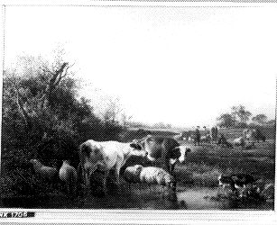cows and sheep, 1850, Hendrik van de Sande Bakhuyzen