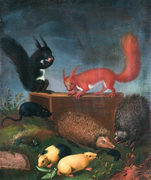 Animals., 1708, Ernst Wilhelm Bernhardi