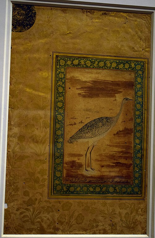Busterd, 1610, Ustad Mansur