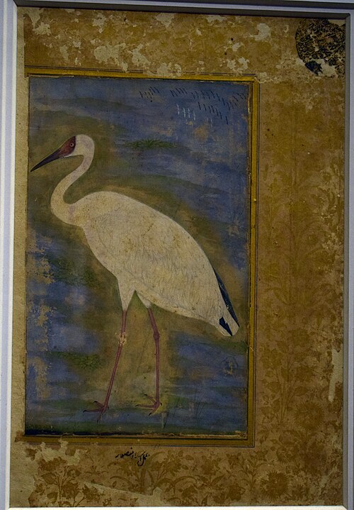 Siberian Crane, 1610, Ustad Mansur