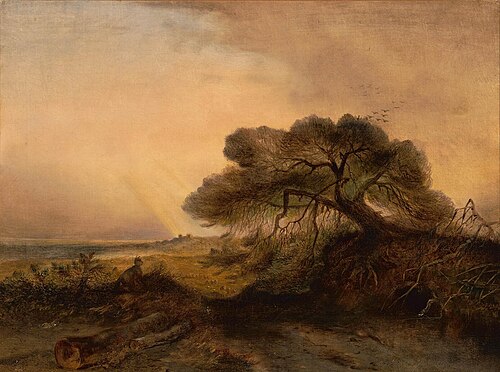 After the Rain, 1843, Johannes Tavenraat