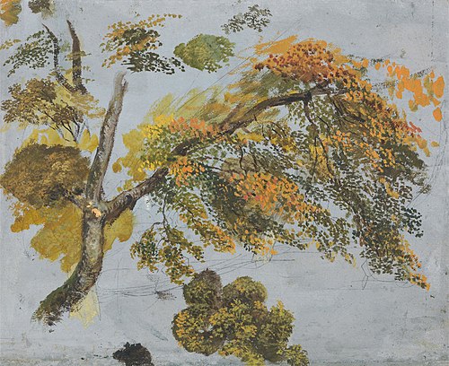 Tree Study (Autumn Foliage), 1828, John Linnell