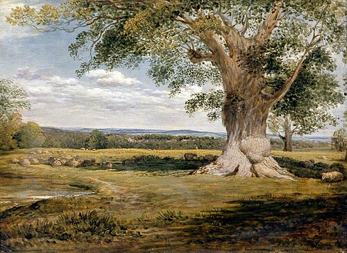 Woody Landscape, 1824, John Linnell