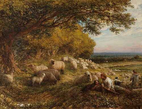 Sheep, 1867, John Linnell