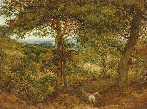 Woody Landscape, , John Linnell