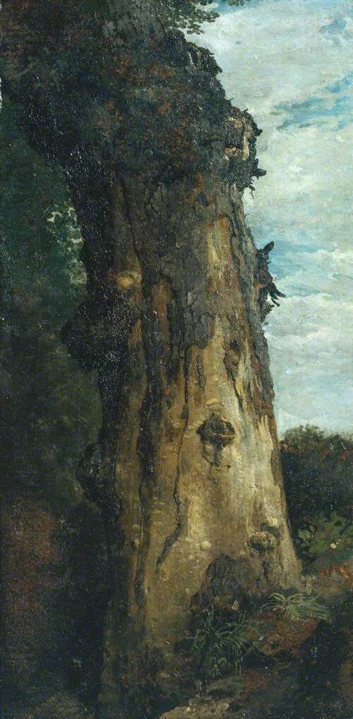 Study of a Tree (‘Study from Nature’), 1806, John Linnell