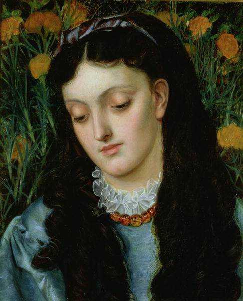 La belle jaune giroflée, 1870, Emma Sandys