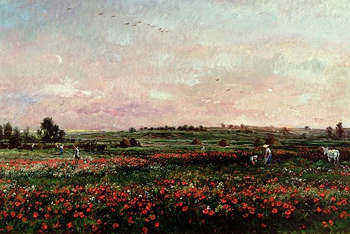 Les champs au mois de juin, 1874, Charles-François Daubigny