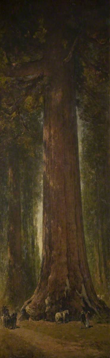 'Grizzly Giant' Tree, Mariposa Grove, Yosemite, 1896, Thomas Hill