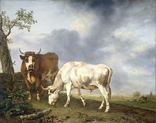 Oxen in the Meadow, 1806, Jan Kobell
