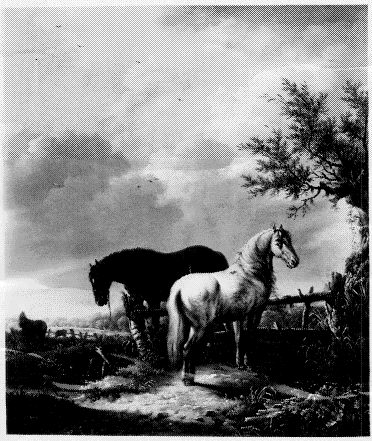 Twee paarden bij een hek, 1801, Jan Kobell
