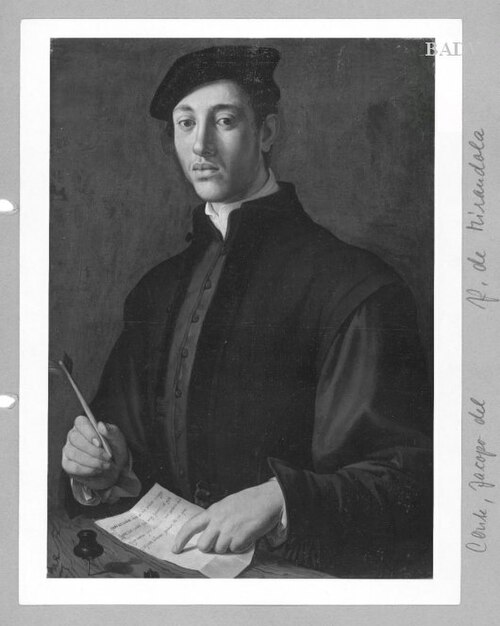 Portrait of Pico di Mirandola, 1527, Jacopino del Conte