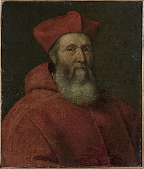 Portrait of Cardinal Jacopo Sadoleto, 1536, Jacopino del Conte