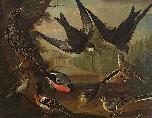 British Birds (Cock Starling, Pair of Wagtails, Cock Bramble Finch, Cock Bullfinch, Cock Beam Bird a, 1736, Charles Collins
