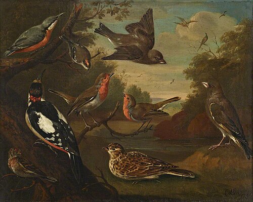 British Birds: Nuthatch; Gold Crest; Greenfinches; Great Spotted Woodpecker; Robins; Redpoll; Skylar, 1736, Charles Collins