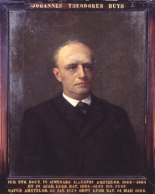 Portret van Johan Theodoor Buys, hoogleraar Rechtsgeleerdheid te Leiden, 1801, Willem Bastiaan Tholen