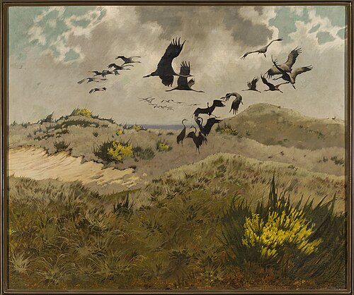 Cranes in dunes., 1911, Friedrich Lissmann