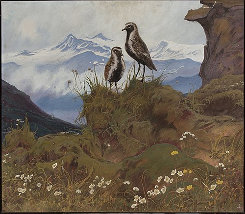Birds in a mountain landscape., 1912, Friedrich Lissmann