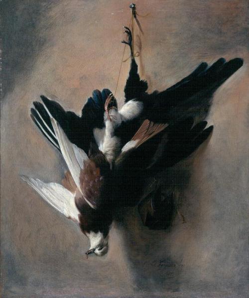 A Pigeon and Magpie, 1685, William Gouw Ferguson