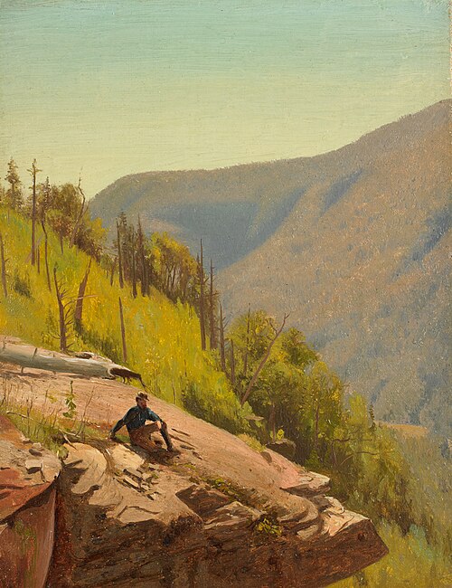 Summer Hills, Kauterskill Clove, 1867, Jervis McEntee