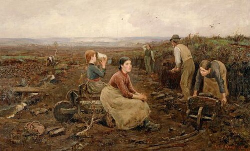 A Galloway Peat Moss, 1888, William Stuart MacGeorge